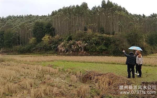 嘉定区陈老师带着爱徒寻龙点穴